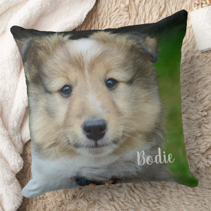 Modern Photo Personalised Pets Family Dog Lover  Cushion