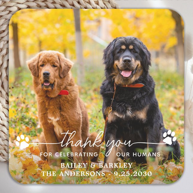 Modern Photo Script Thank You Dog Pet Wedding Square Paper Coaster (Creator Uploaded)