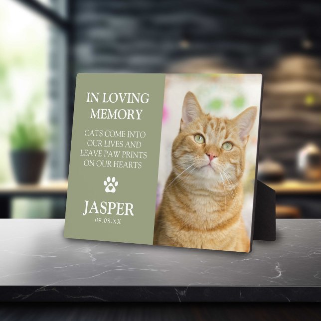 Modern Photo & Sympathy Quote Pet Loss Memorial Plaque (Creator Uploaded)