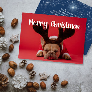 Modern photo with backside greetings Holiday card