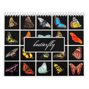 Modern Photography Butterfly Calendar