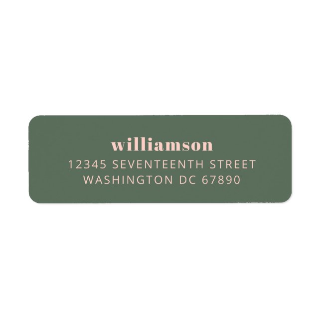 Modern Pink and Green Last Name Return Address  Label (Front)