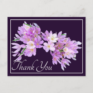 Modern Pink Purple Crocus Floral Pretty Thank You Postcard