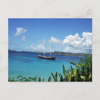 Modern Pirate Postcard