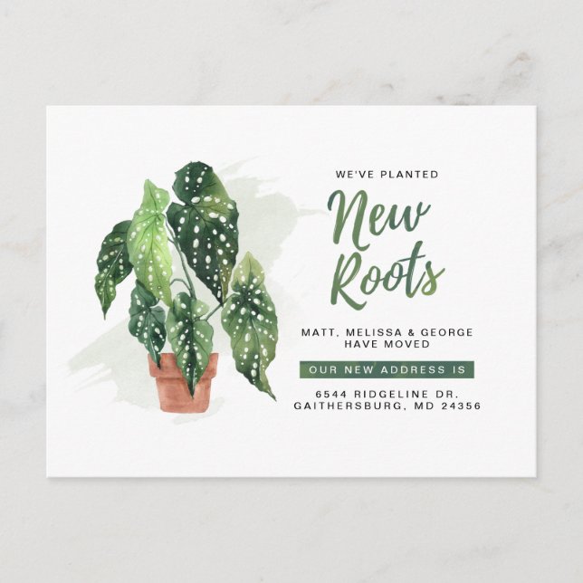 Modern Planted New Roots Moving New Address Announcement Postcard (Front)