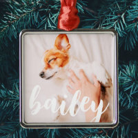 Modern Playful Simple Elegant Chic Pet Photo