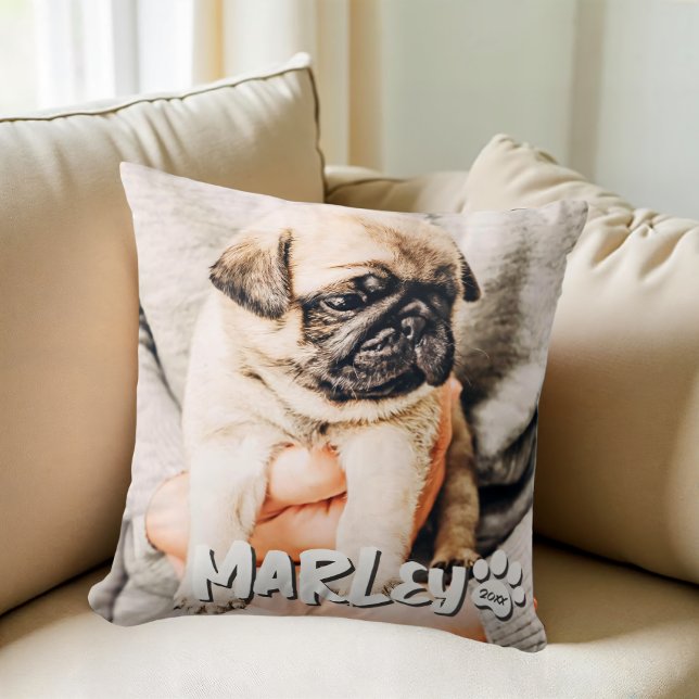 Modern Playful Simple Grunge Custom Pet Photo Cushion (Creator Uploaded)