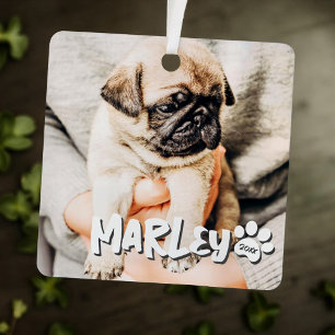 Modern Playful Simple Grunge Custom Pet Photo Metal Tree Decoration