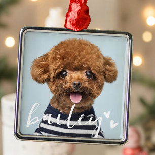 Modern Playful Simple Hearts Chic Pet Photo Metal Ornament