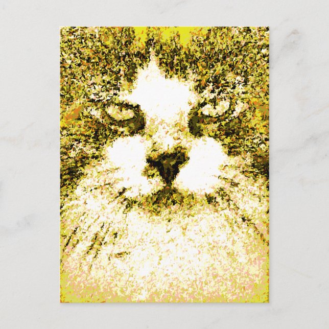 Modern Pop Art Cat Gold Postcard (Front)