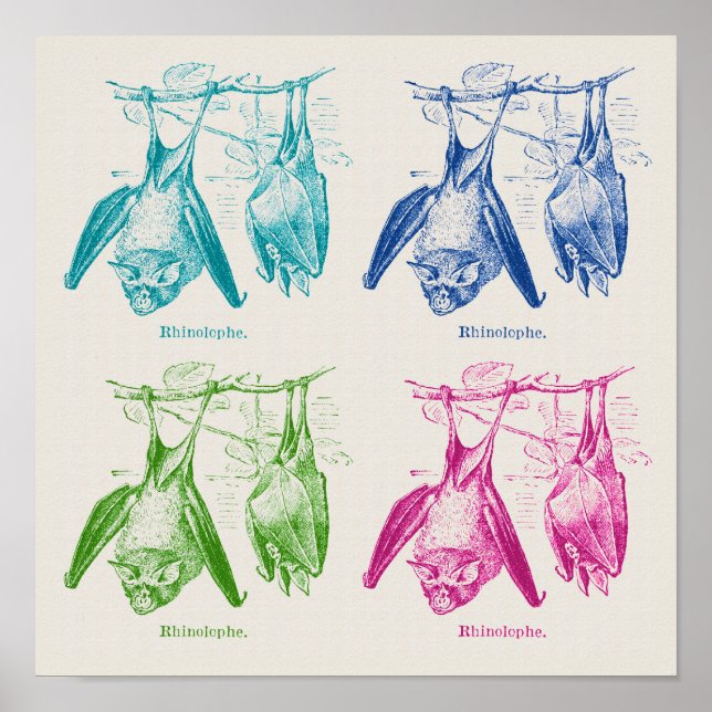 Modern pop art retro grid Halloween bat poster (Front)