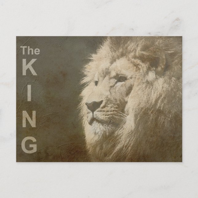 Modern Pop Art Template Animal Lion Head The King Postcard (Front)