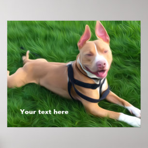 Modern poster with Pit bull dog on the green grass