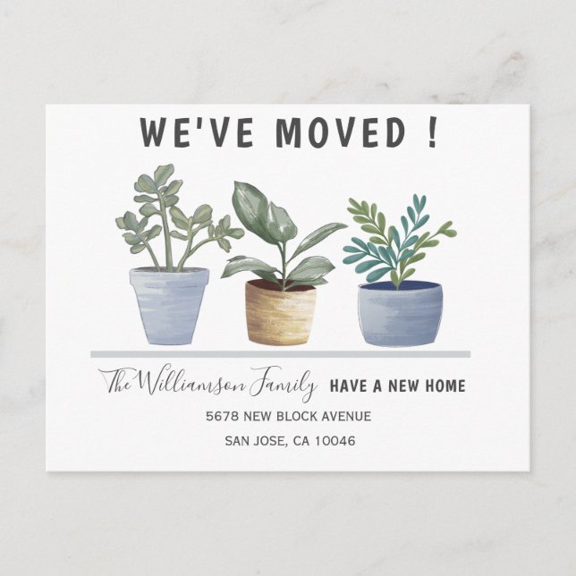 Modern Potted Plants We've Moved Announcement  (Front)