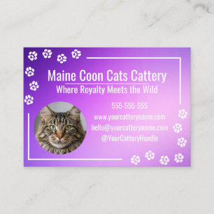 Modern Purple Gradient Maine Coon Cattery  Business Card
