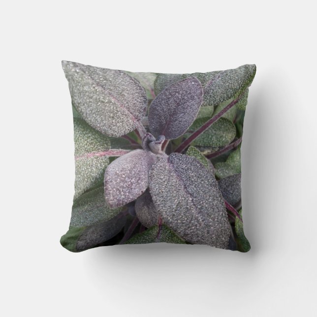 Modern Purple Sage Garden Herb Photo Cushion (Front)