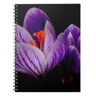 Modern Purple Tulip Flower Notebook