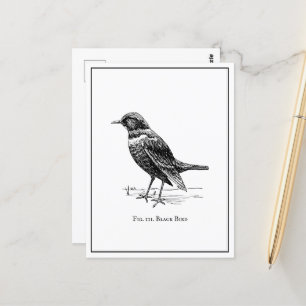 Modern Quirky Fun Black Bird  Postcard