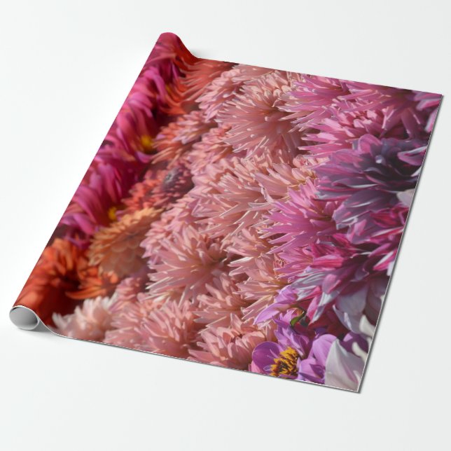 Modern Rainbow Pink Orange Purple Dahlia Flower Wrapping Paper (Unrolled)