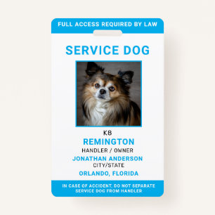 Modern Red Blue Simple Service Dog Photo ID Badge 
