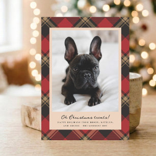 Modern Red Plaid Pet Photo Christmas Treats Holiday Card