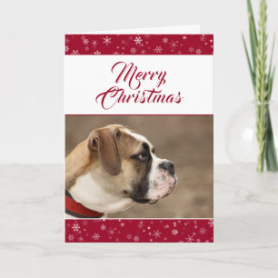 Modern Red Snowflake Christmas Holiday Dog Photo Card