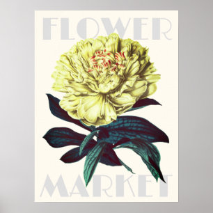 Modern Retro Flower Market Peony  Poster