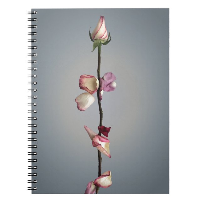 Modern Rose Beauty and the beast sentiment  Notebook (Front)