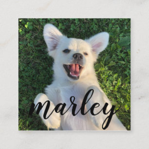 Modern Rustic Custom Pet Photo Enclosure Card