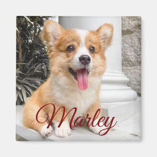 Modern Rustic Simple Custom Pet Photo Magnet