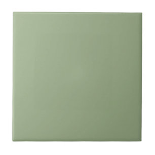 Modern Sage Green Plain Solid Colour Ceramic Tile