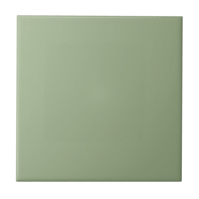 Modern Sage Green Plain Solid Colour Ceramic Tile (Front)