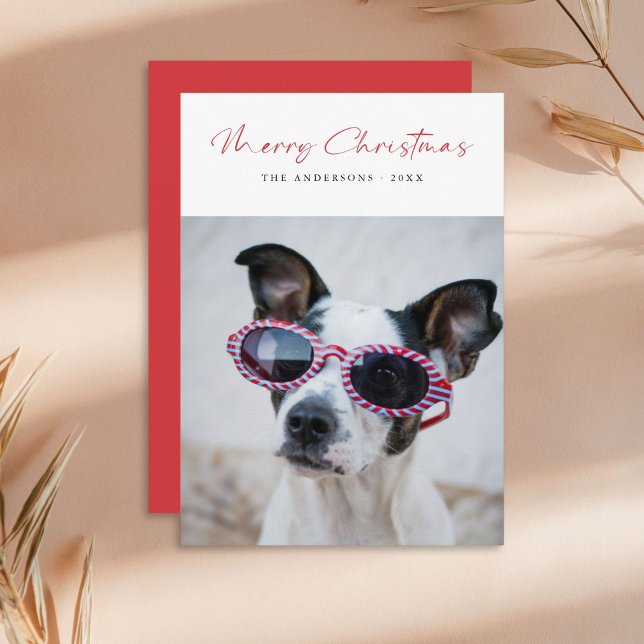 Modern Script Funny Dog Photo Family Christmas Red Holiday Card (Creator Uploaded)