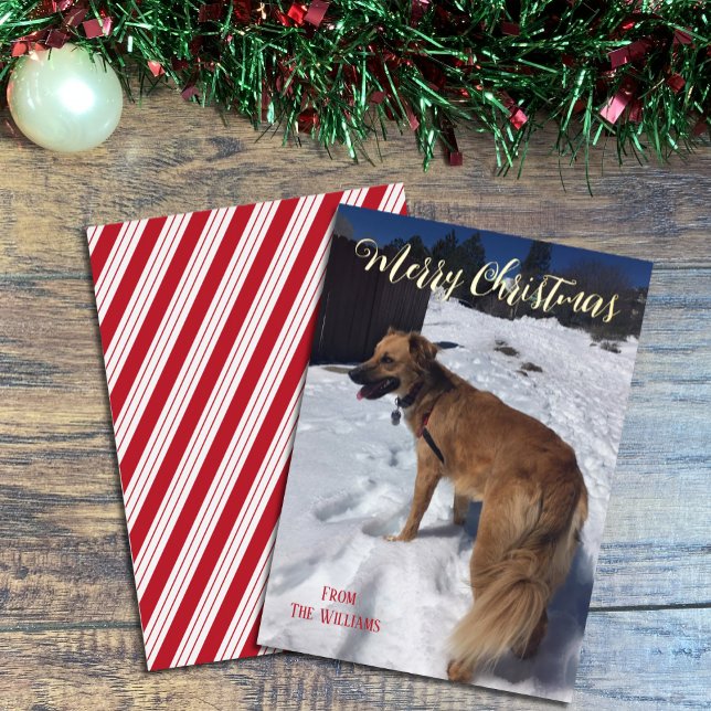 Modern script Single Dog Photo Foil Christmas Card (Creator Uploaded)