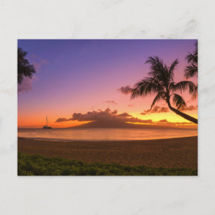 Modern Sea View Flat Postcard