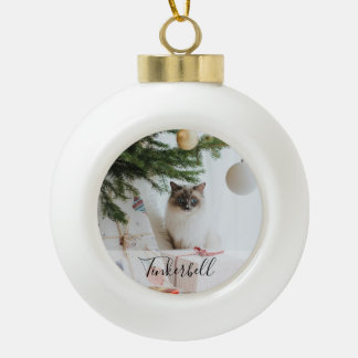 Modern Simple Classic at Name and Pet Photo  Ceramic Ball Christmas Ornament