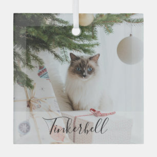 Modern Simple Classic at Name and Pet Photo  Glass Tree Decoration