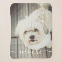 Modern Simple Cute Custom Photo with Name Pet