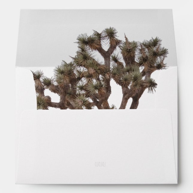 Modern Simple Elegant Colour Joshua tree Silhouett Envelope (Back (Bottom))