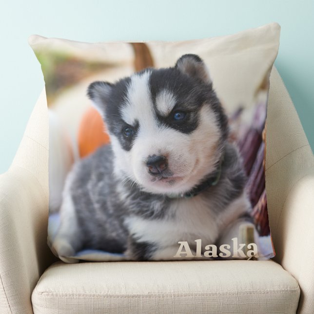 Modern Simple Personalised Pet Dog Lover Photo Cushion (Creator Uploaded)