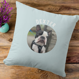 Modern Simple Pet Photo Pale Blue Personalised  Cushion