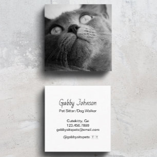 Modern Simple Pet Sitter Dog Walker  Square Business Card