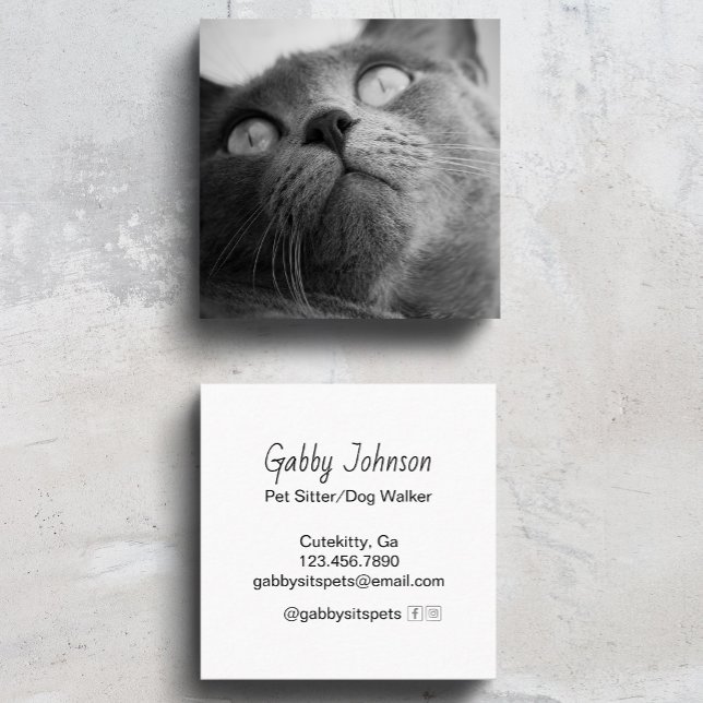 Modern Simple Pet Sitter Dog Walker  Square Business Card (Creator Uploaded)