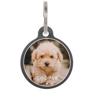 Modern Simple Playful Elegant Chic Paw Pet Photo Pet Tag