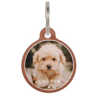 Modern Simple Playful Elegant Chic Paw Pet Photo Tag