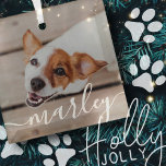Modern Simple Playful Elegant Chic Pet Photo Glass Tree Decoration<br><div class="desc">This simple and classic design is composed of serif typography and add a custom photo of your pet.</div>