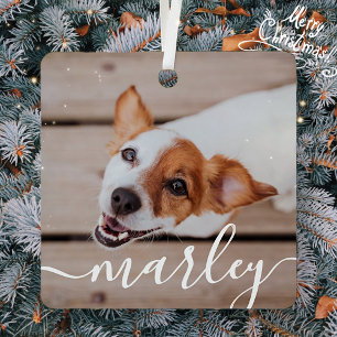 Modern Simple Playful Elegant Chic Pet Photo Metal Tree Decoration