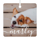 Modern Simple Playful Elegant Chic Pet Photo