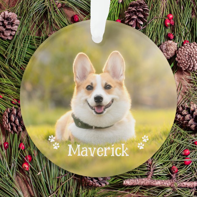 Modern Simple Stylish Personalised Pet Dog Photo Ornament (Creator Uploaded)
