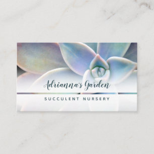 Modern Simple Succulent Plant Nursery Photo Business Card